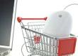 Using the Internet to Increase Household Income